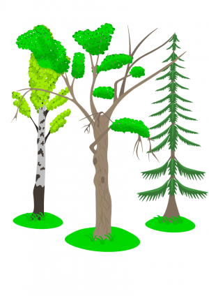 Группа деревьев.png